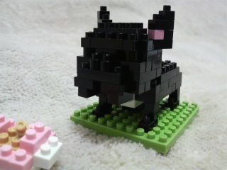 nanoblock